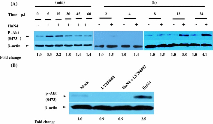 Fig. 1