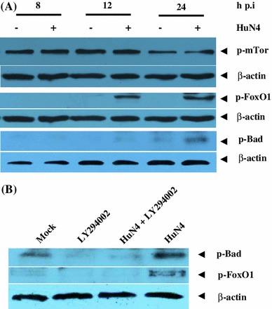 Fig. 4