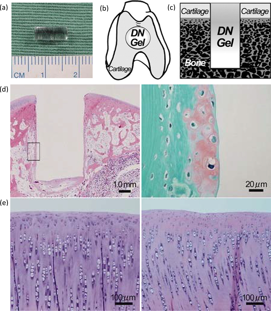 Figure 14.