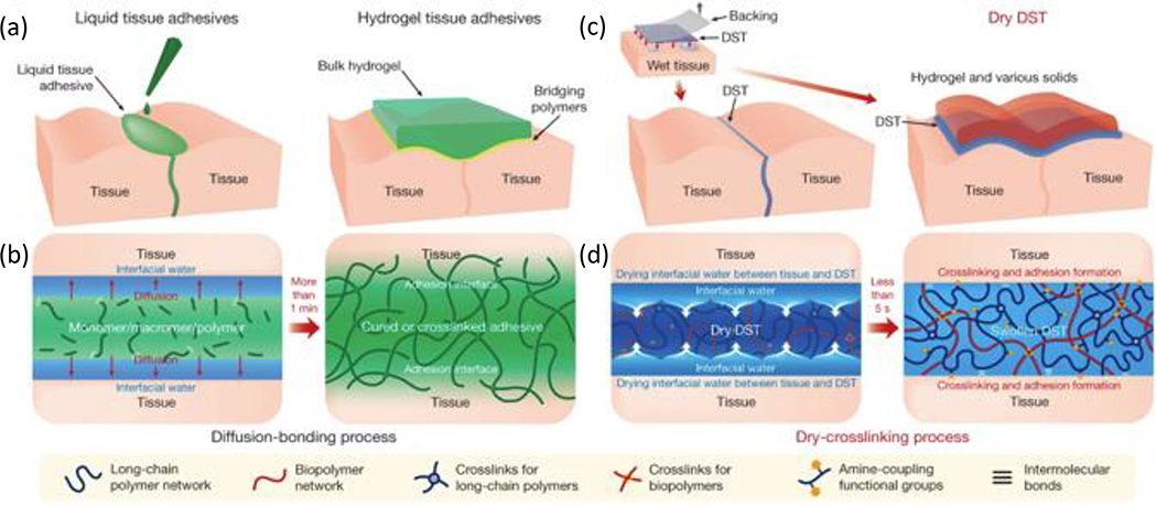 Figure 11.