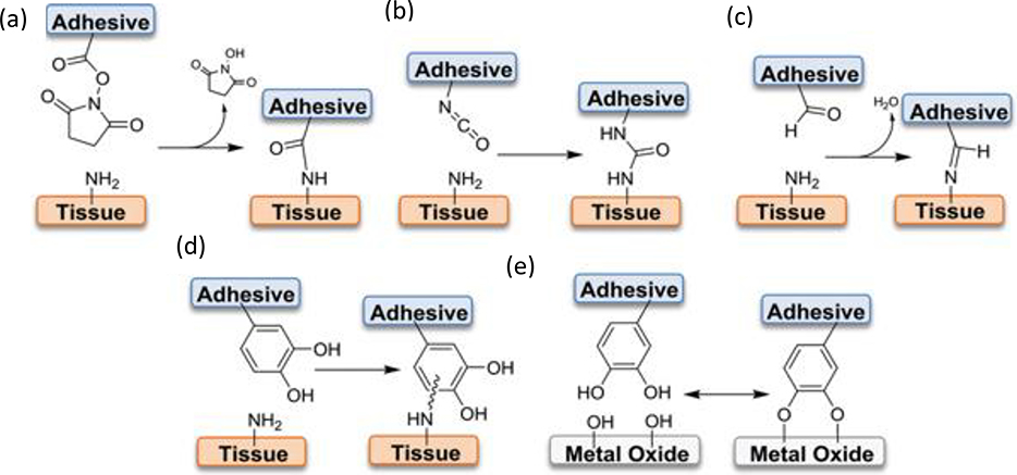 Figure 9.