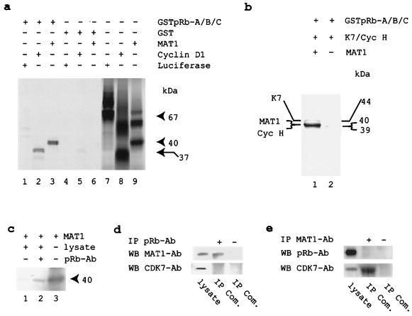 FIG. 7