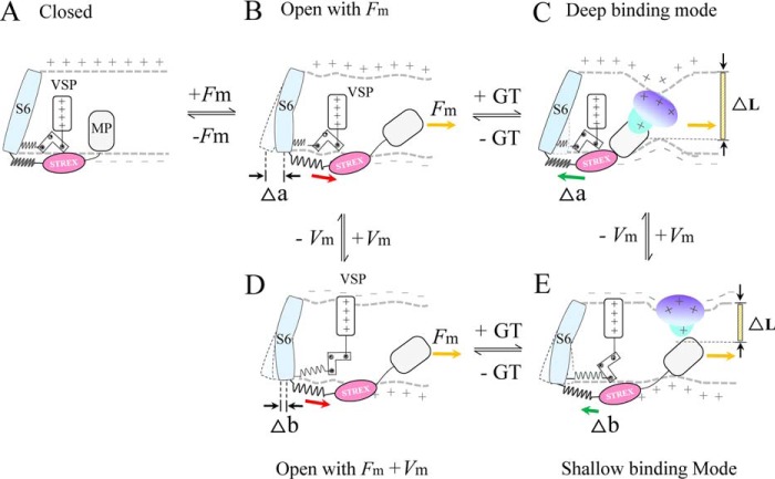 Figure 12.