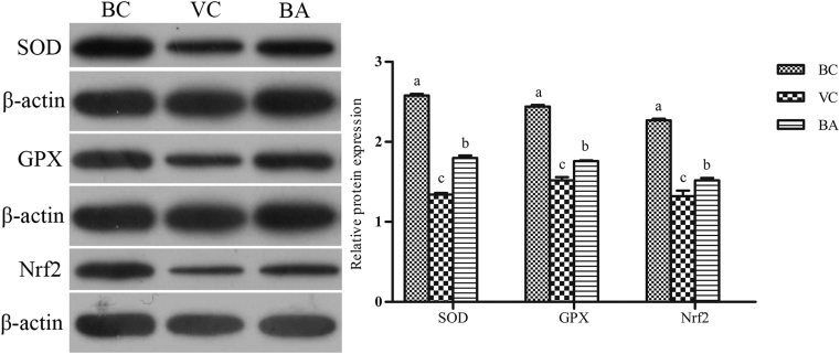 Figure 9