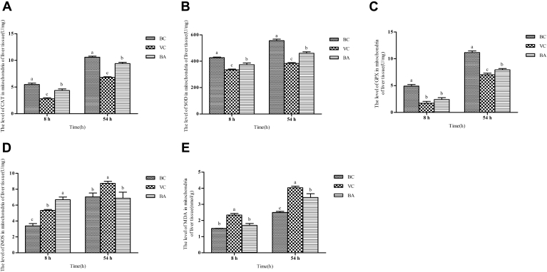 Figure 5