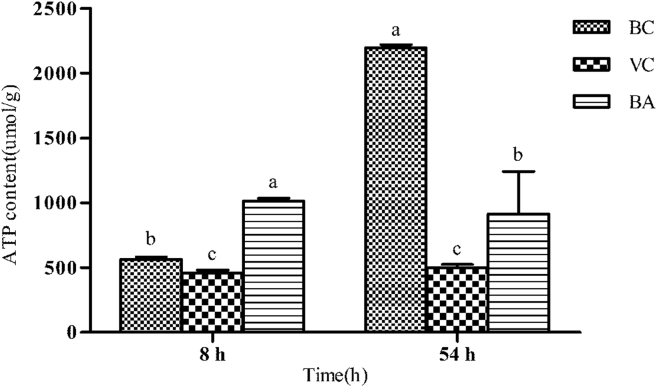 Figure 4