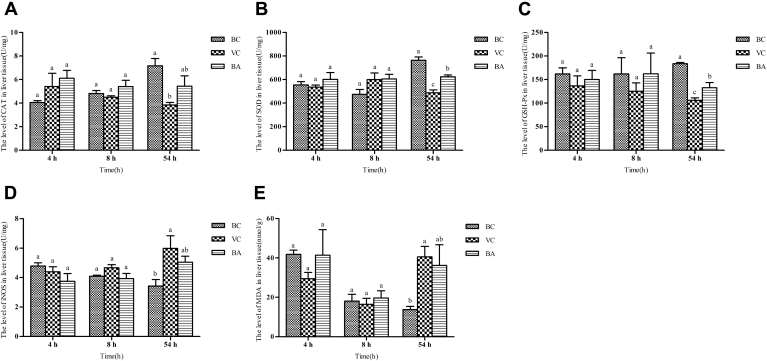 Figure 2