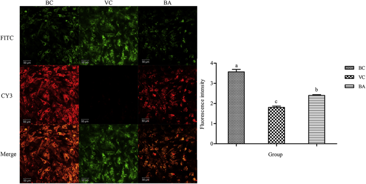 Figure 6