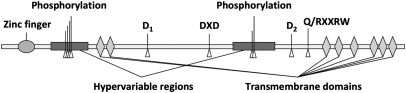 Fig. 1.