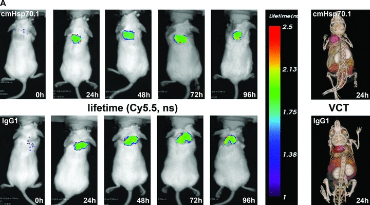 Fig 6