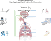 Image, graphical abstract