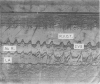 469