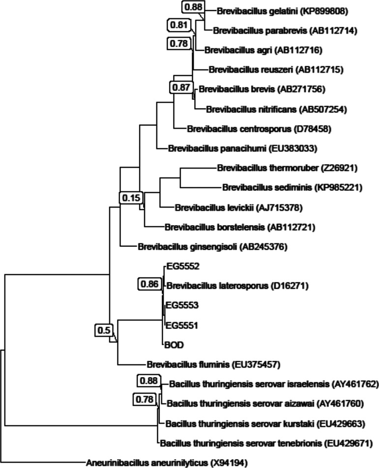 FIG 2