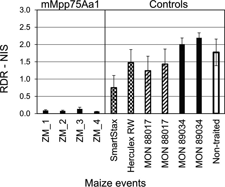 FIG 6