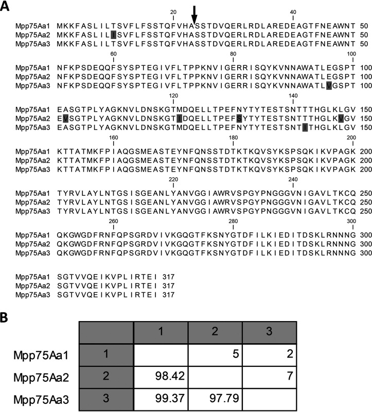 FIG 3