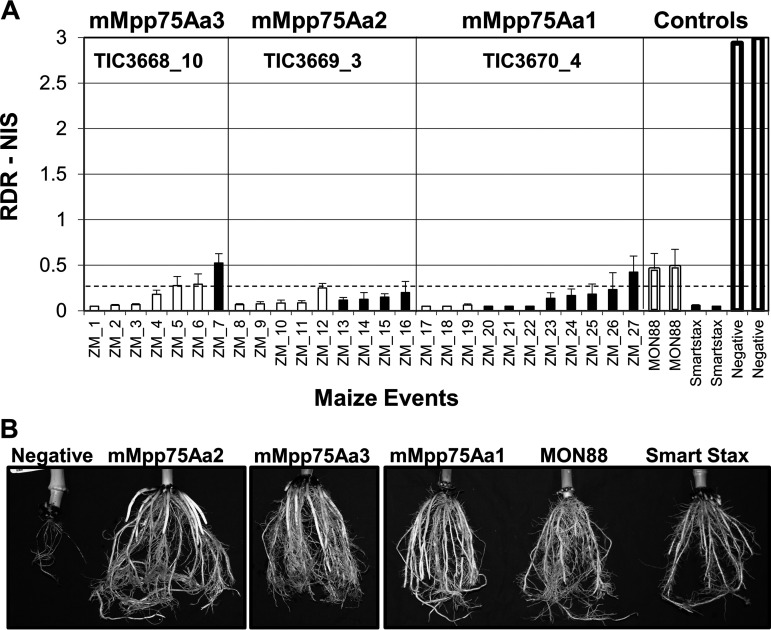 FIG 4