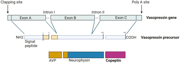 Figure 1.