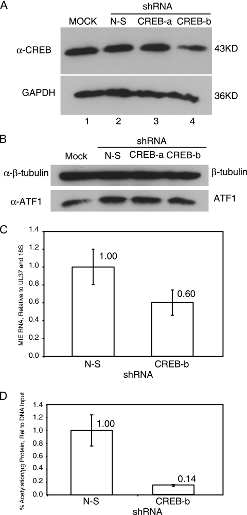 FIG. 8.