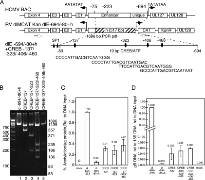 FIG. 7.