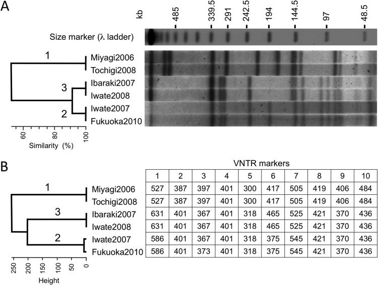 FIG 2