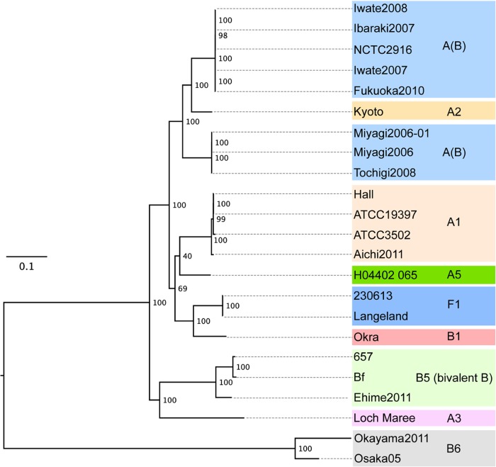 FIG 6