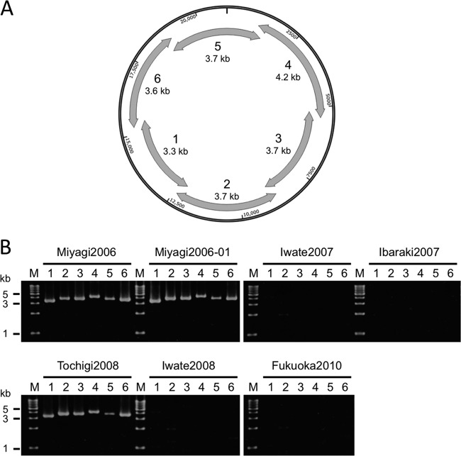 FIG 4