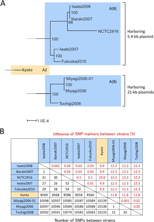 FIG 7