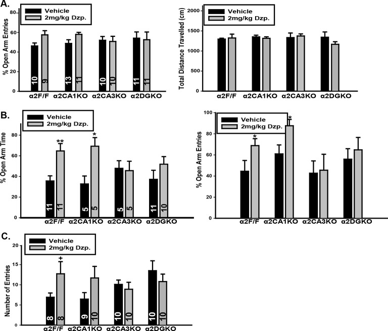 Figure 2—figure supplement 1.