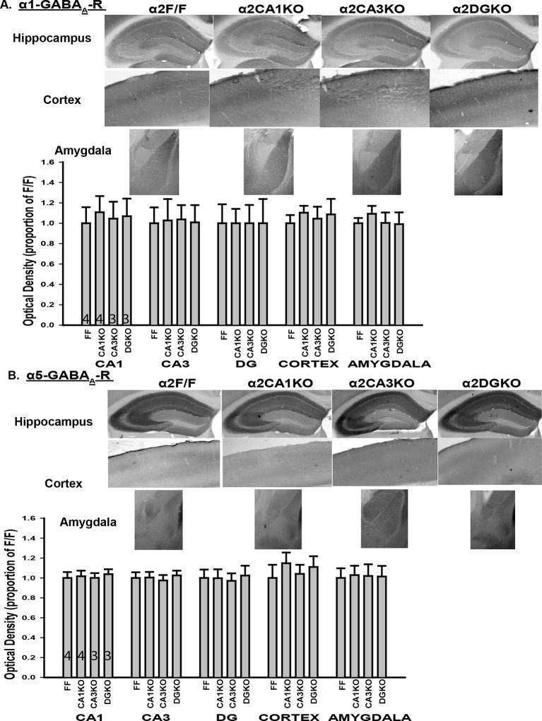 Figure 1—figure supplement 2.