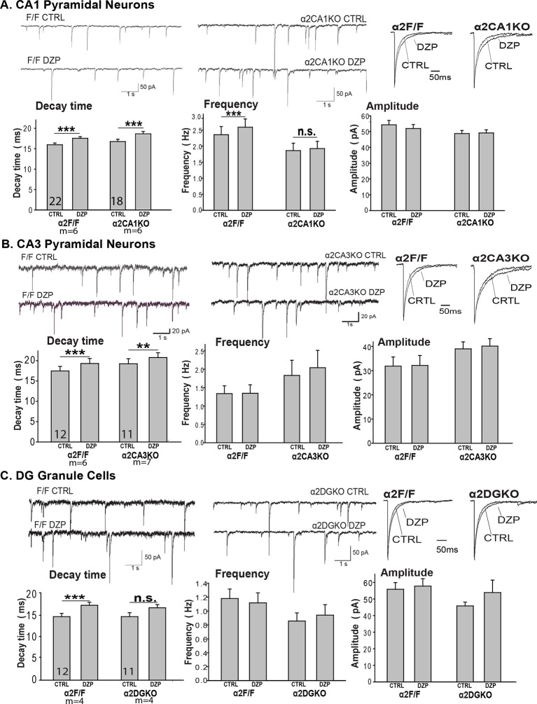 Figure 1—figure supplement 4.