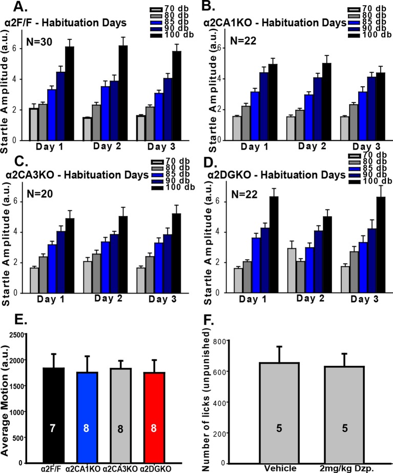 Figure 3—figure supplement 1.