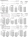 Figure 1—figure supplement 4.