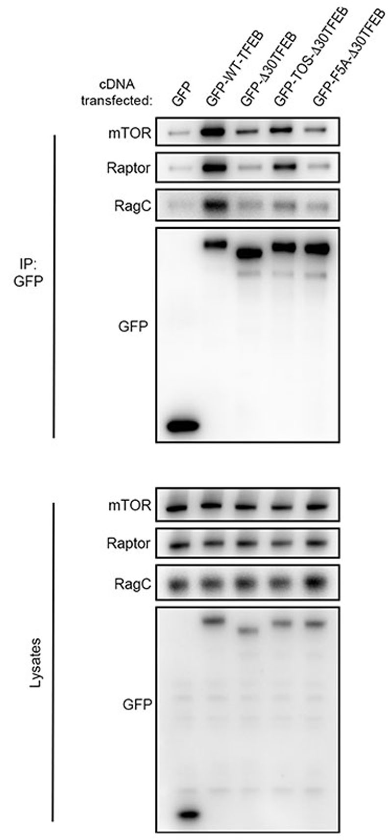 Extended Data Fig. 5