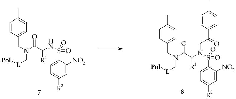 Scheme 2