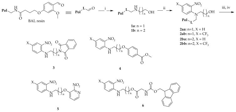 Scheme 1