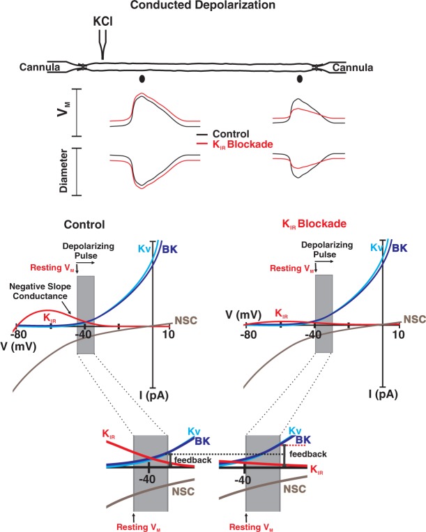 Figure 7.