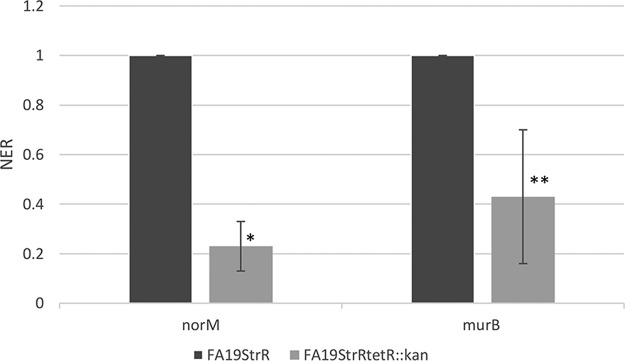 FIG 4