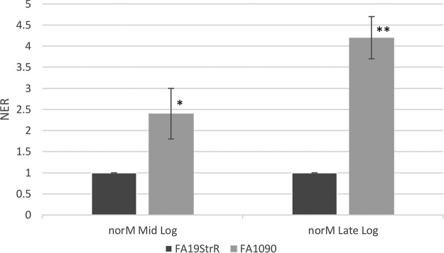 FIG 2