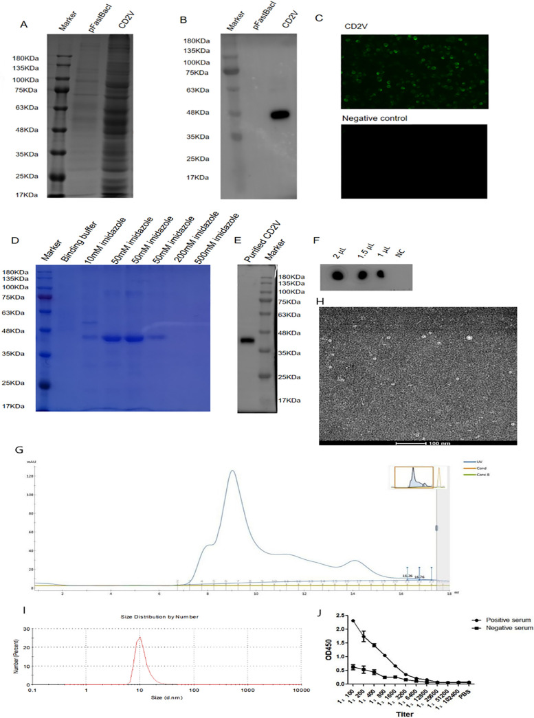 FIG 1