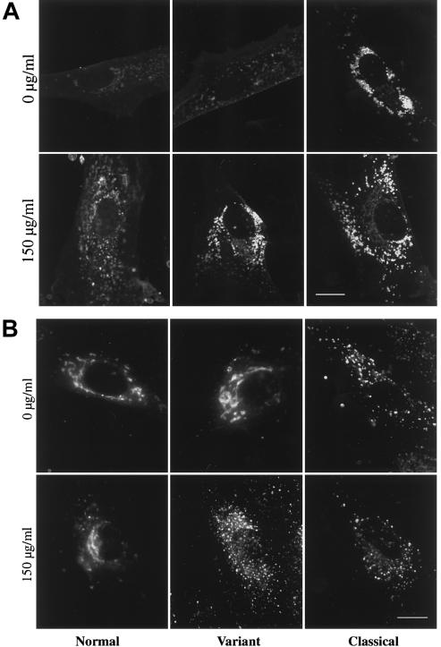 Figure  4