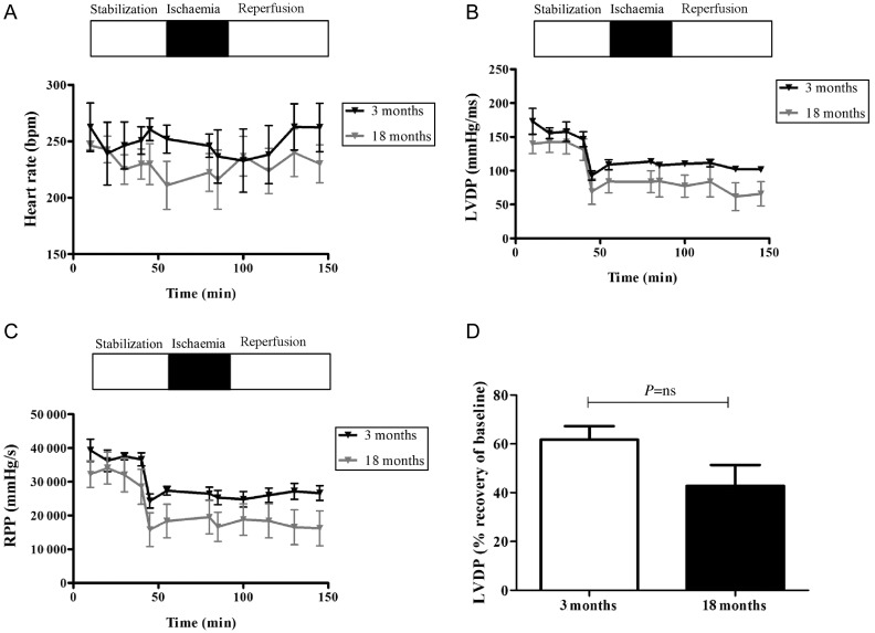 Figure 6