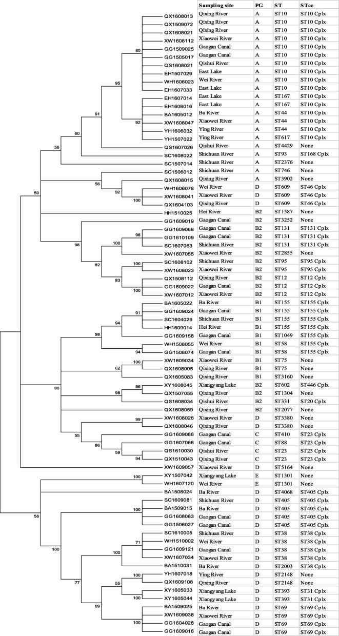 Fig. 2