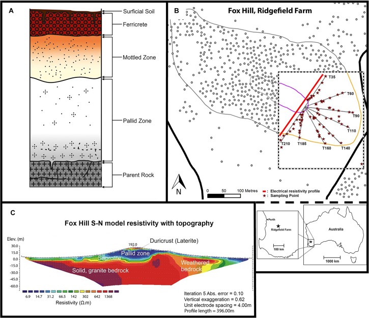 FIGURE 1