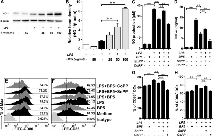 Fig 7