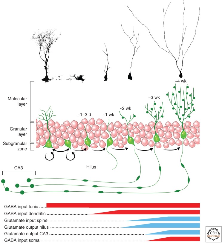 Figure 2.