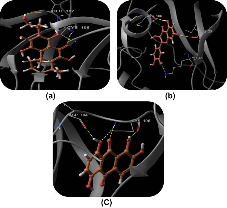 Figure 4