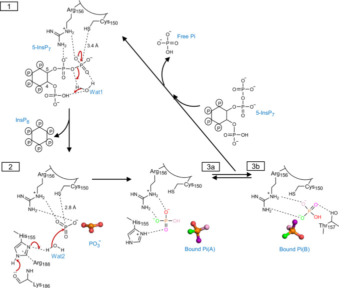 Fig. 7