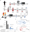 Figure 1. Surface enrichment methodology and Ewing sarcoma surfaceome and proteome metrics. A, Membranes were enriched from Ewing sarcoma models using a density gradient ultracentrifugation approach. Global proteome profiling was carried out in tandem according to the schematic. B, Upset plots depicting the number of proteins identified for the global proteome (Global) or surface surfaceome enrichment (Surfaceome). Proteins were classified as surface proteins using the SurfaceGenie dataset. Numbers listed on the right side are the total protein count for that particular group. C, Principal component analysis (PCA) plots of Ewing sarcoma samples, and SuperMix (SM) samples, in both the surfaceome (blue/gray dots) and the global proteome (red/gray dots) datasets.