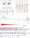 Figure 3. Prioritization of immunotherapy candidates from the Ewing sarcoma surfaceome and global proteome data. A, The union of the surfaceome and global proteome data provided 218 surface protein immunotherapy candidates containing a transmembrane domain and an FDR < 0.1. The workflow depicts the general scoring schema used to generate the ranked list of immunotherapy candidates. SFX, surfaceome; GLB, global proteome. B, An example of how the scoring system works, highlighting IL1RAP, ENPP1, and ENG in these data. C, Summed scores from B were converted to Z-scores and plotted against their respective ranks. Highlighted are known Ewing sarcoma surface candidates, or promising candidates from this study. D, All data are available for proteins in Group 1 (Z-score >1). Tracks used in the scoring schema, top to bottom: SFX and GLB, # Ewing sarcoma models enriched and average fold change versus SM; PPTC_FC, fold change of targets in Ewing sarcoma versus other pediatric cancers in the PPTC dataset; and GTEX_TPM track, TPM of targets across normal tissues in the GTEX data. Other tracks are SurfaceGenie, SPC score (1–4) of protein; EWS–FLI1 target (ChIP + mRNA regulation), depicting if targets displayed EWS–FLI1 binding at their promotor regions (ChIP) and a subsequent increase in mRNA expression from publicly available data; and N cell lines (Protein WT > EWSR1–ETS KD), number of WT Ewing sarcoma cell lines (19 total) where that protein is significantly higher in versus EWSR1–ETS fusion knockdown (KD) models, depicting surface proteins potentially regulated by EWSR1–ETS fusions.