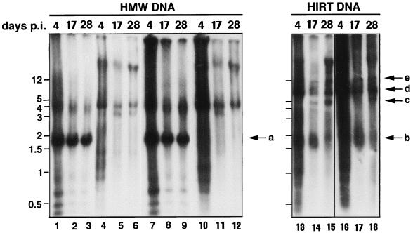 FIG. 5